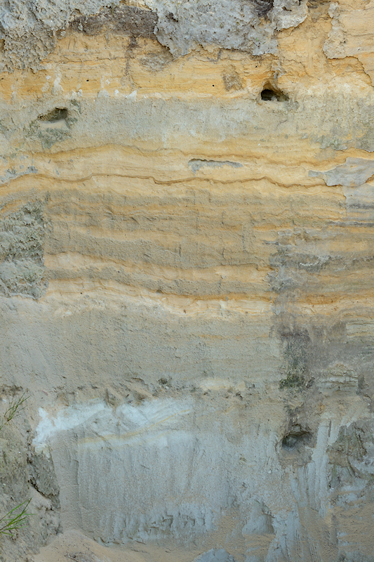 Zichtbare dekzandlagen in de steilrand van Donderen