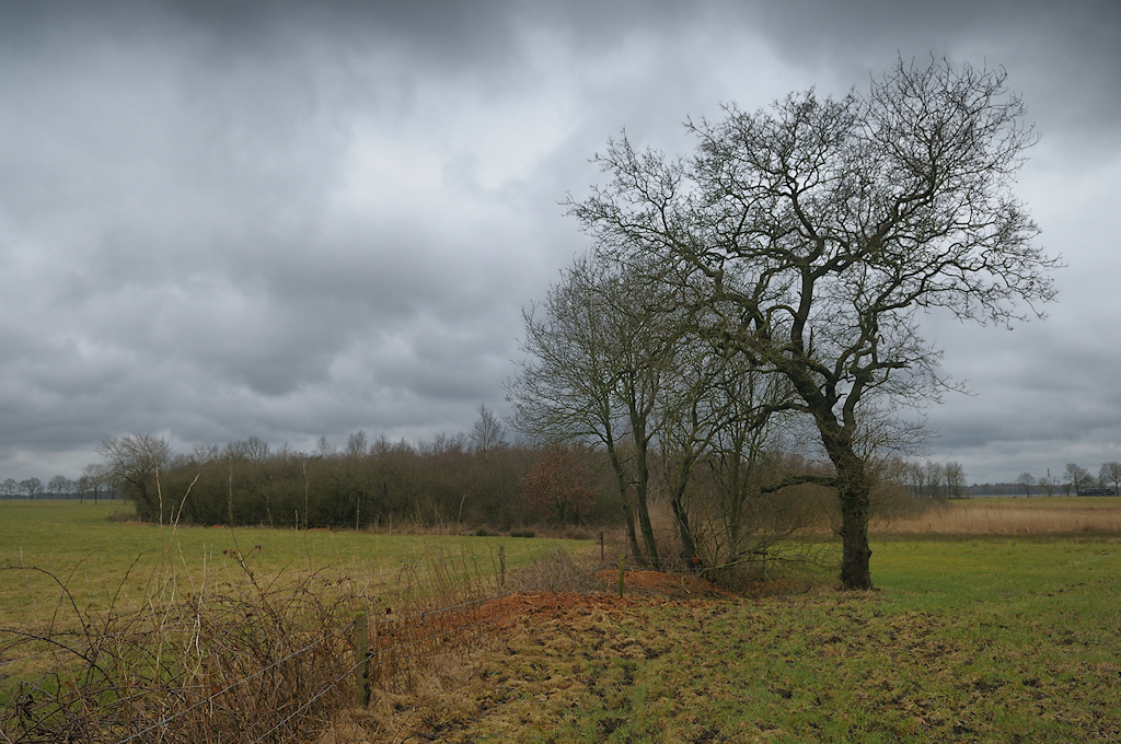 Een dichtgegroeide Pingoru�ne bevat sporen van klimaatverandering in het verleden