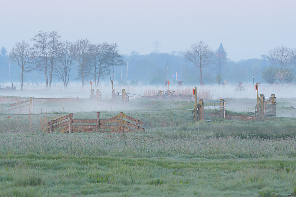 Veenweidelandschap van de Surhuzumer Mieden