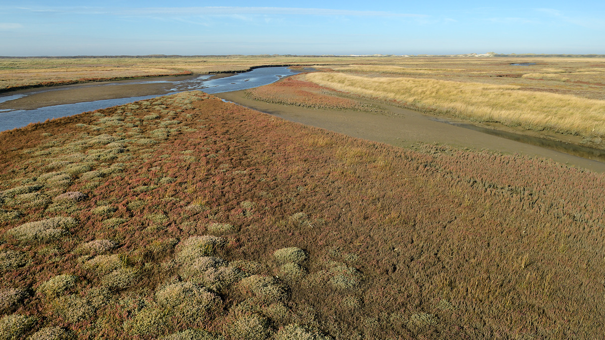 Terschelling, Eerste Slenk van de Boschplaat