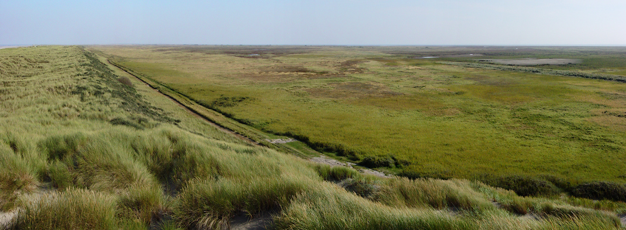De stuifdijk langs de Boschplaat van Terschelling