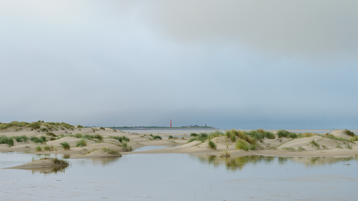 Texel, Hors met uitzicht op de Lange Jaap