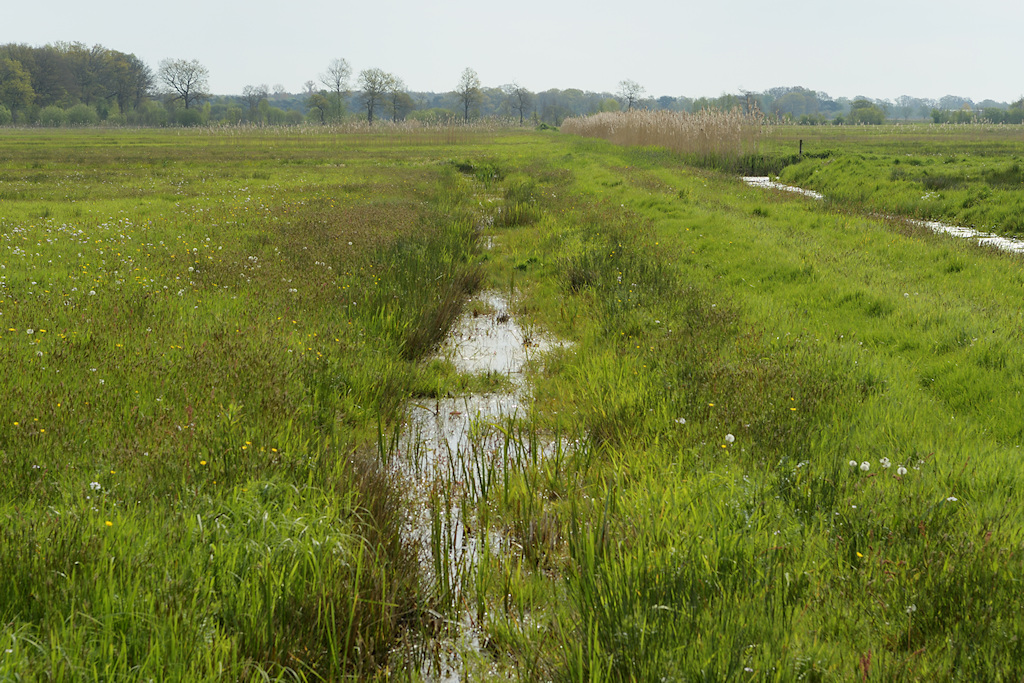 Bouwespolder, van Oordt's Mersken