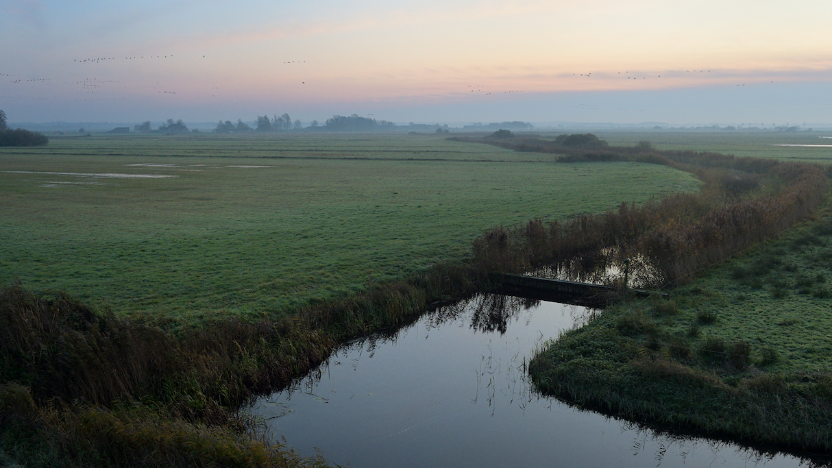 Koningsdiep, van Oordt's Mersken