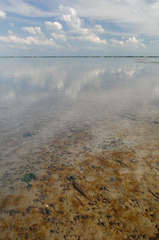 Slikkige bodem van het Friese Wad