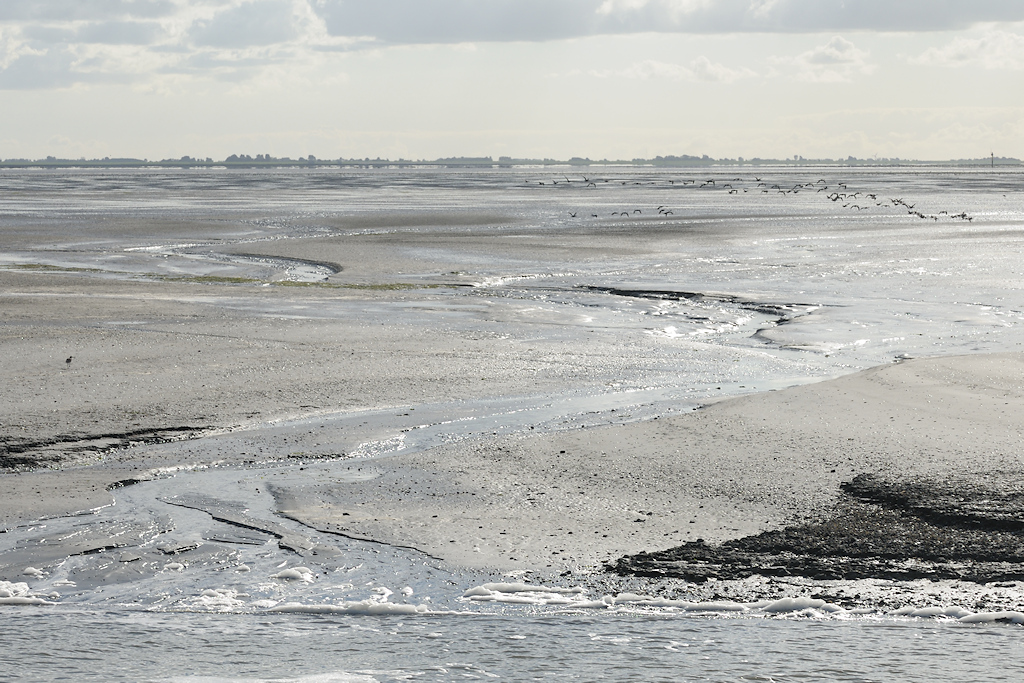 De Piet Scheveplaat ten zuiden van Ameland