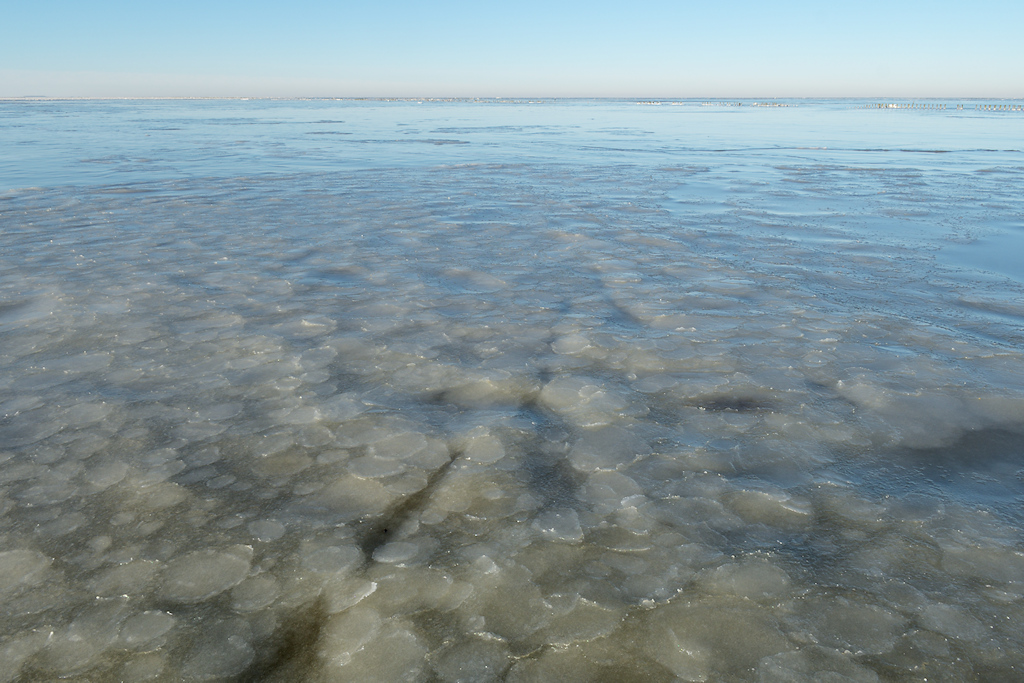 Zeeijs op de Waddenzee