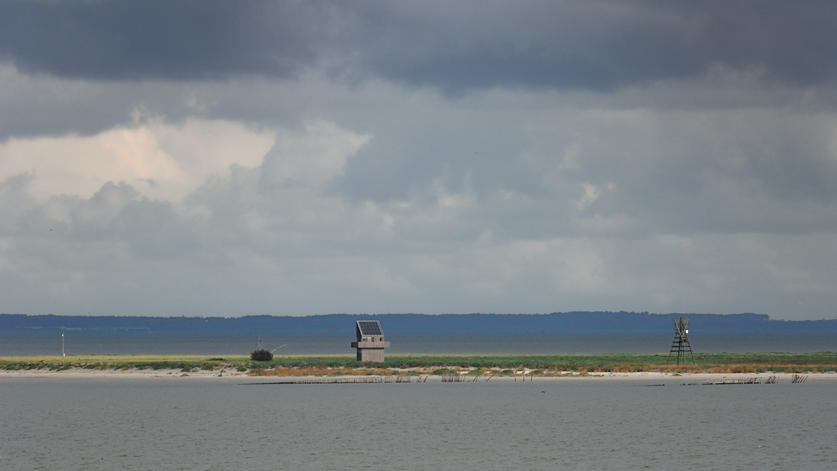 Vogeleiland Griend