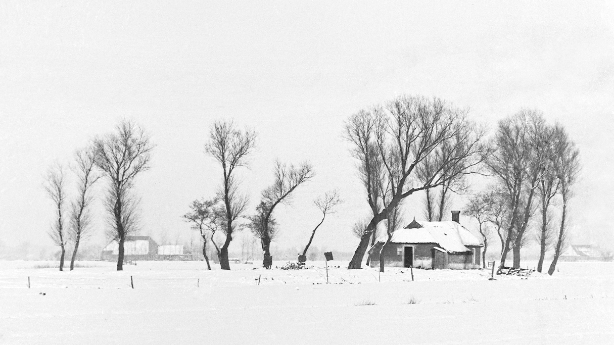 W�ldh�ske in sneeuwlandschap winter 1940