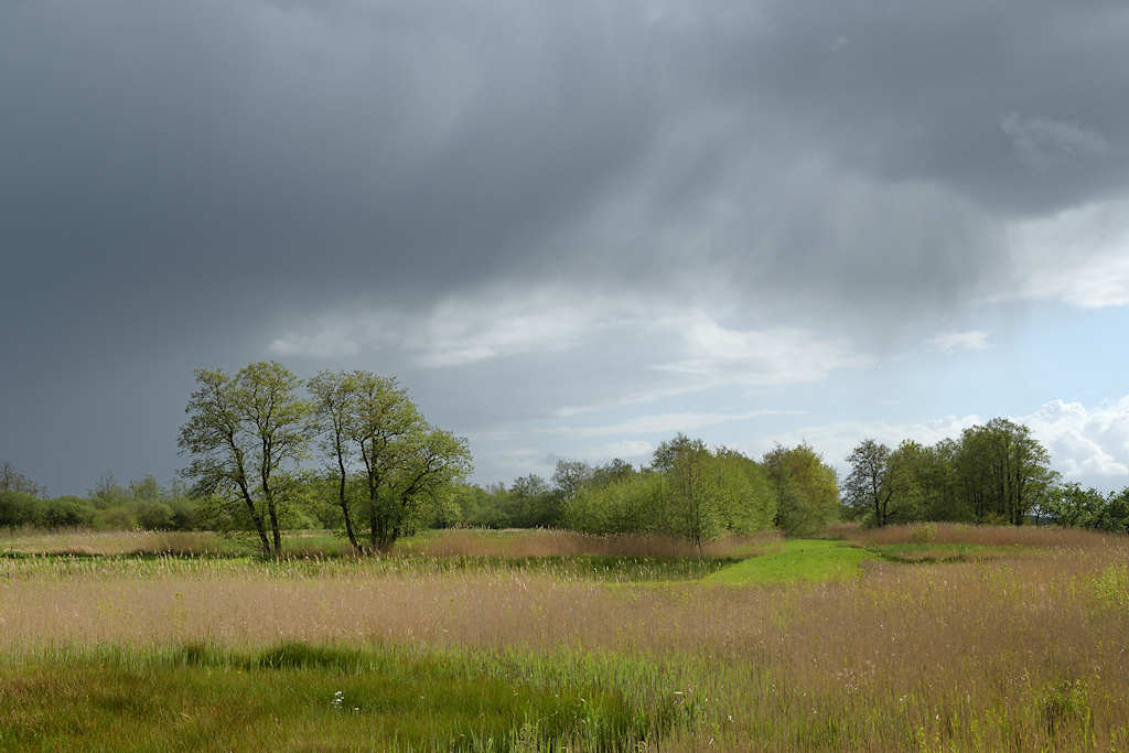 W�ldmieden onder Buitenpost