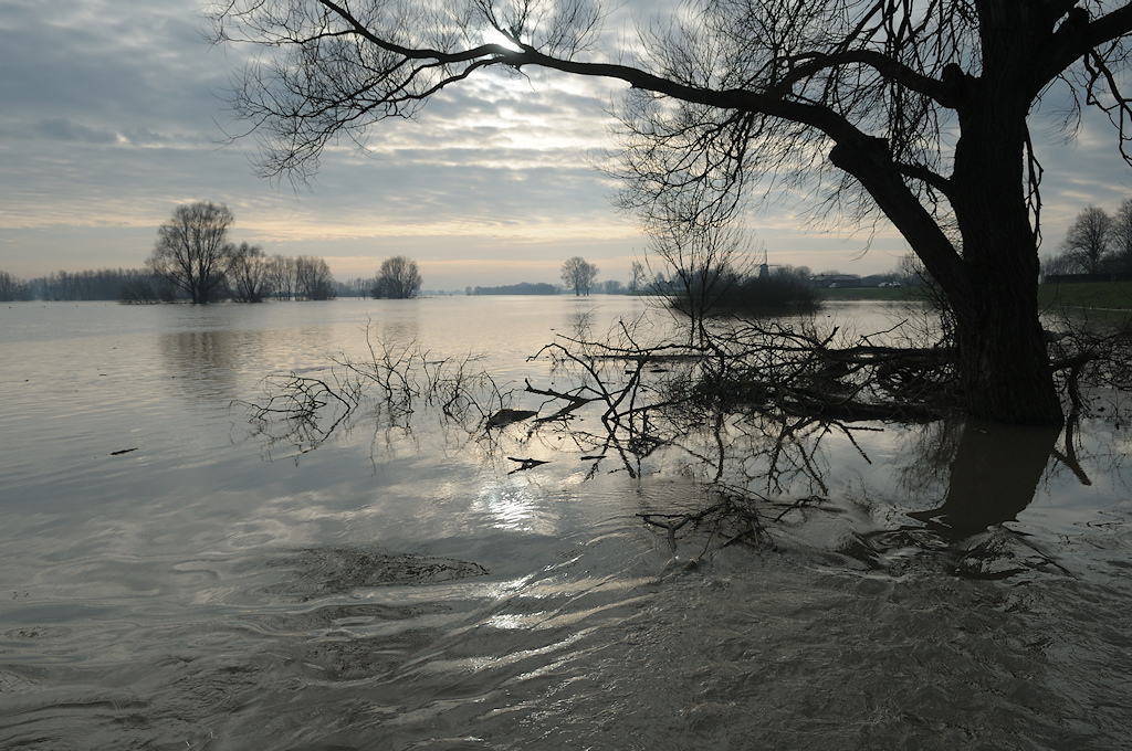 Hoogwater in de uiterwaarden van de IJssel bij Welsum