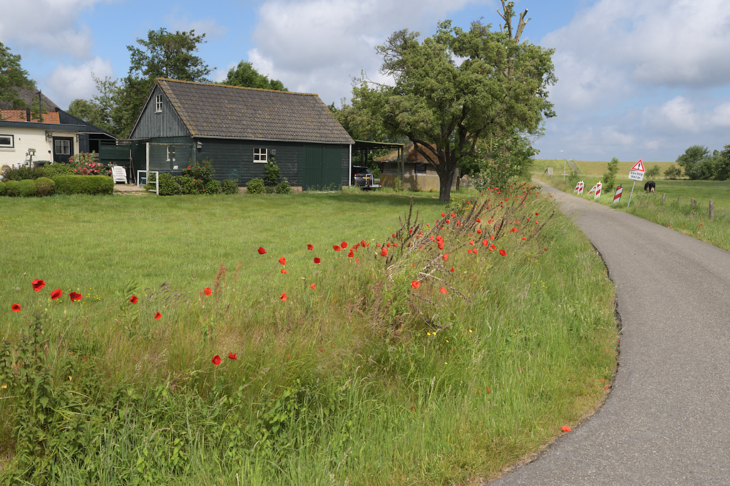 Tuunwal of Woalke in Stroe