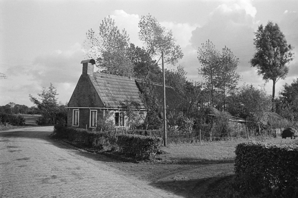 Kleine Woudboerderij op onbekende locatie