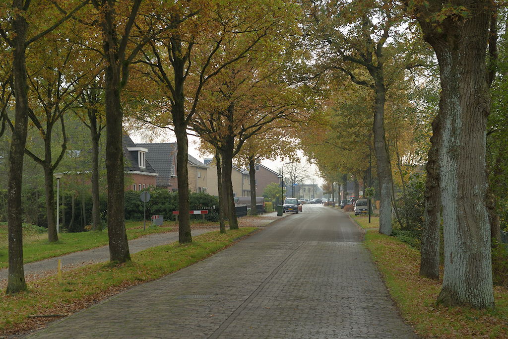 Wynjew�ld, Wijnjewoude