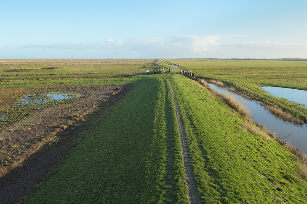 Lontkade, zomerdijk op Noard-Frysl�n B�tendyks