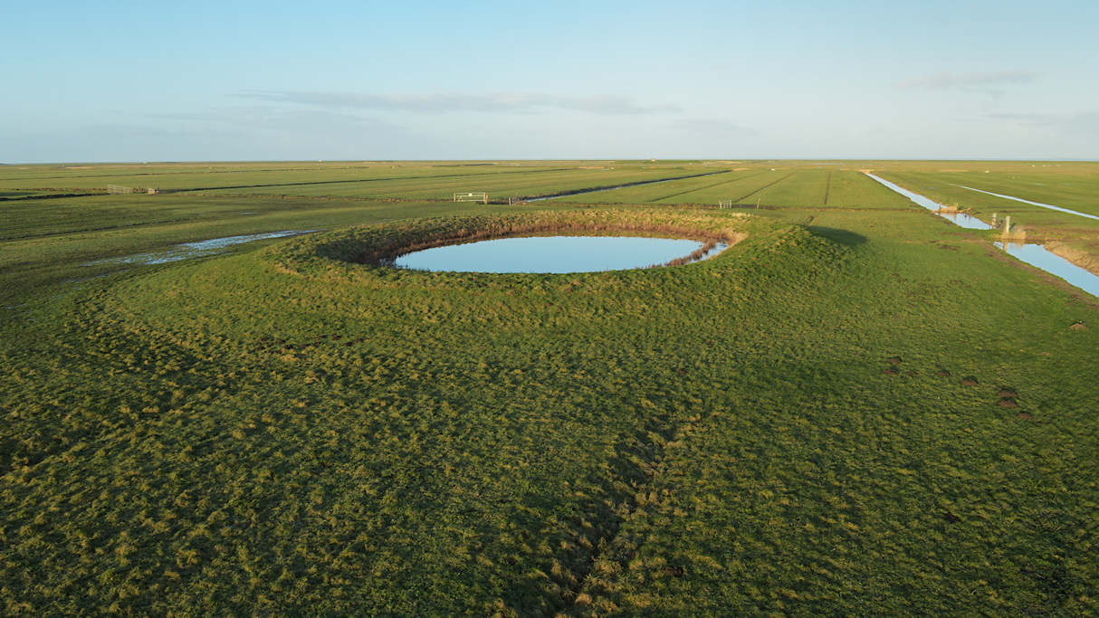 Ringdobbe in de Keegen