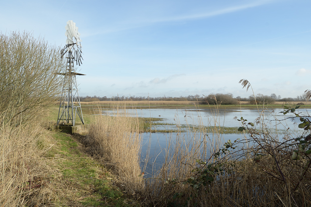 Zomerpolder aan de Wide Ie