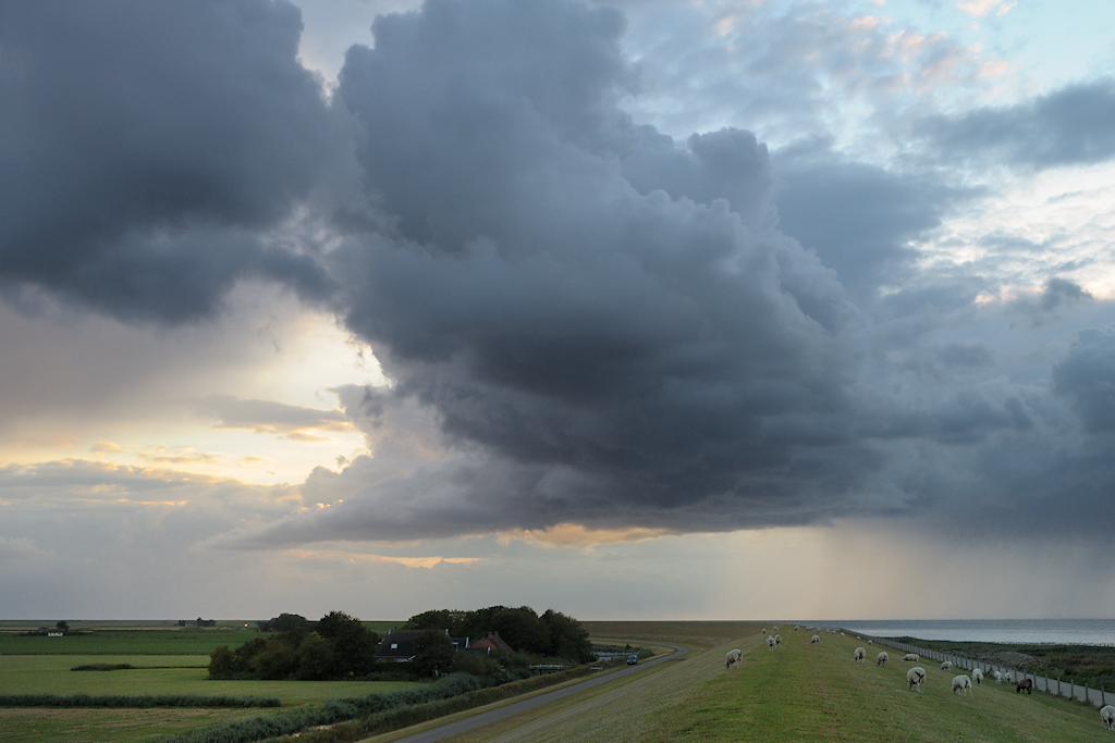 Het westelijke deel van de Nieuwe Bildtdijk bij Zwarte Haan