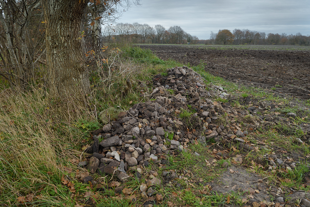 Zwerfstenen aan een akkerrand bij Zeijen