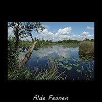 Alde Feanen, Fjirtich Med