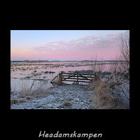 In de winter staat het grasland van de Headamskampen onder water