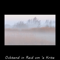 Ochtendnevel hangt tussen het Riet en de Bomen van Reid om 'e Krite