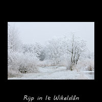 Het berijpte landschap van It Wikelsl�n
