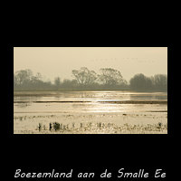 Ondergelopen boezemland van de Wolwarren