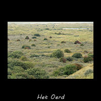 Het Oerd vanaf de Oerder Blinkert