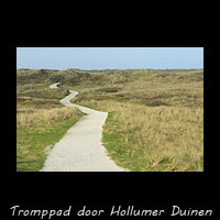 Het Tromppad door Hollumer Duinen
