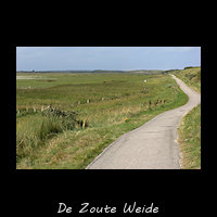 Door duinen ingesloten kweldervlakte de Zoute Weide