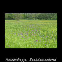 Anlo�rdiepje - beekdalhooiland