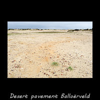 Desert pavement op het Ballo�rveld