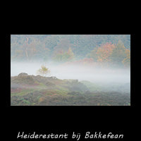 it Mandefljild, Heiderestant bij Bakkefean