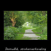 Fermanjepaad, Damw�ld - strokenverkaveling