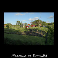 Moestuin in het landelijke gebied van Damw�ld