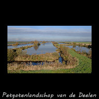 Laagveenmoeras met petgaten en legakkers