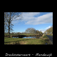 Mandewijk