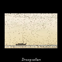 Droogvallen op het Wad