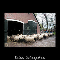 Exloo Schaapskooi