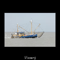 Een garnalenkotten met netten