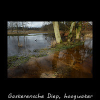 Gasterensche Diep - hoogwater