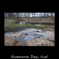Gasterensche Diep - kwel