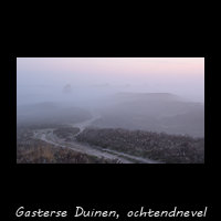 Gasterse Duinen - ochtendnevel