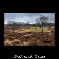 Grafheuvel bij Zeijen