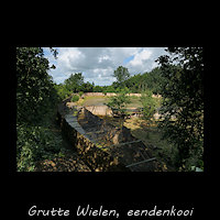 Grutte Wielen, Buismanskooi