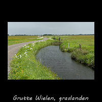Grutte Wielen, bloemrijke graslanden