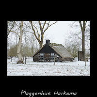 Replica van een plaggenhut in themapark de Spitkeet
