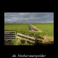 de Haskerveenpolder