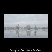 Hoogwater in de uiterwaarden bij Hattem
